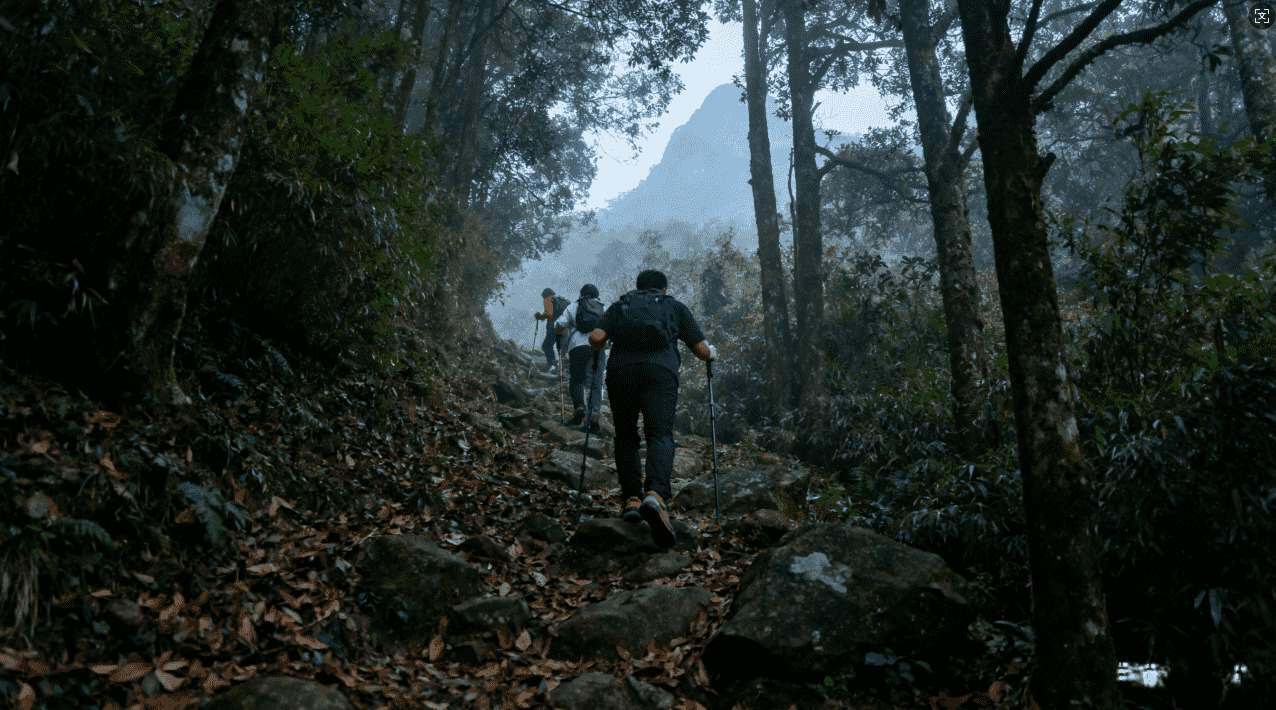 快速卸载789加速器的实用方法